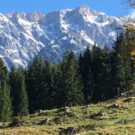 Вілла Auhaeuslalm Марія-Альм-ам-Штайнернен-Мер Екстер'єр фото