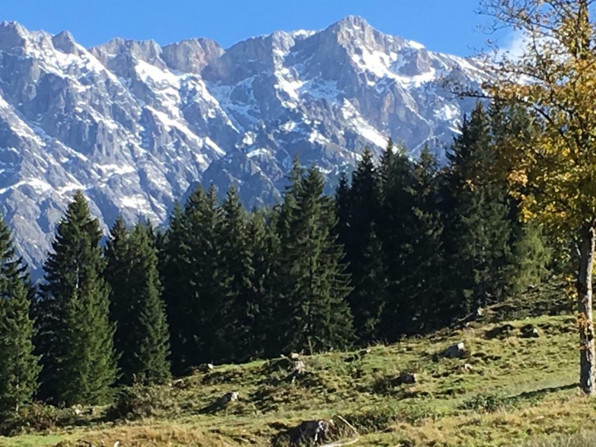 Вілла Auhaeuslalm Марія-Альм-ам-Штайнернен-Мер Екстер'єр фото
